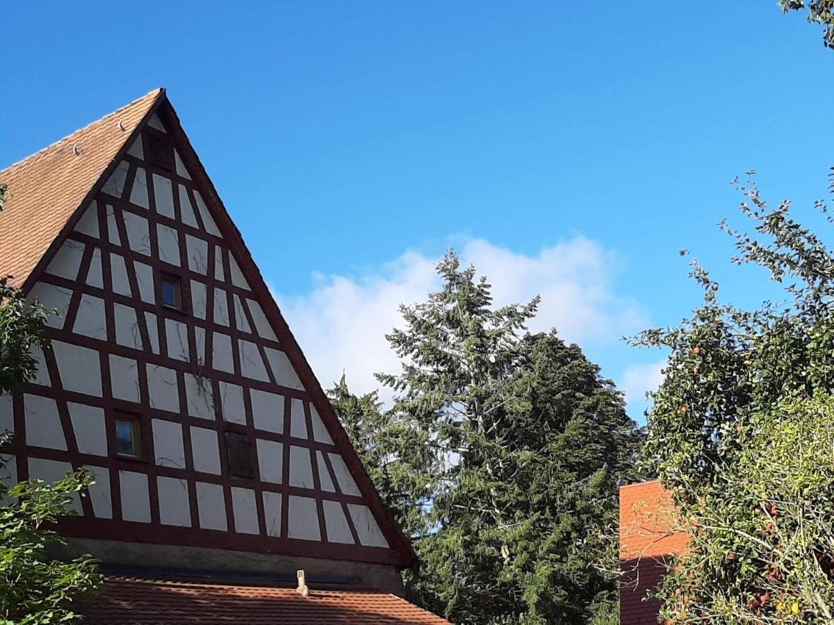 Ferienwohnung Kunst Und Kulturschuppen Hasenmuehle Kammerstein Exteriér fotografie